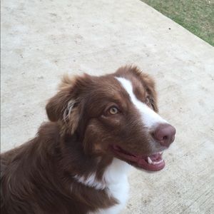 Meet your Posher, Pamela